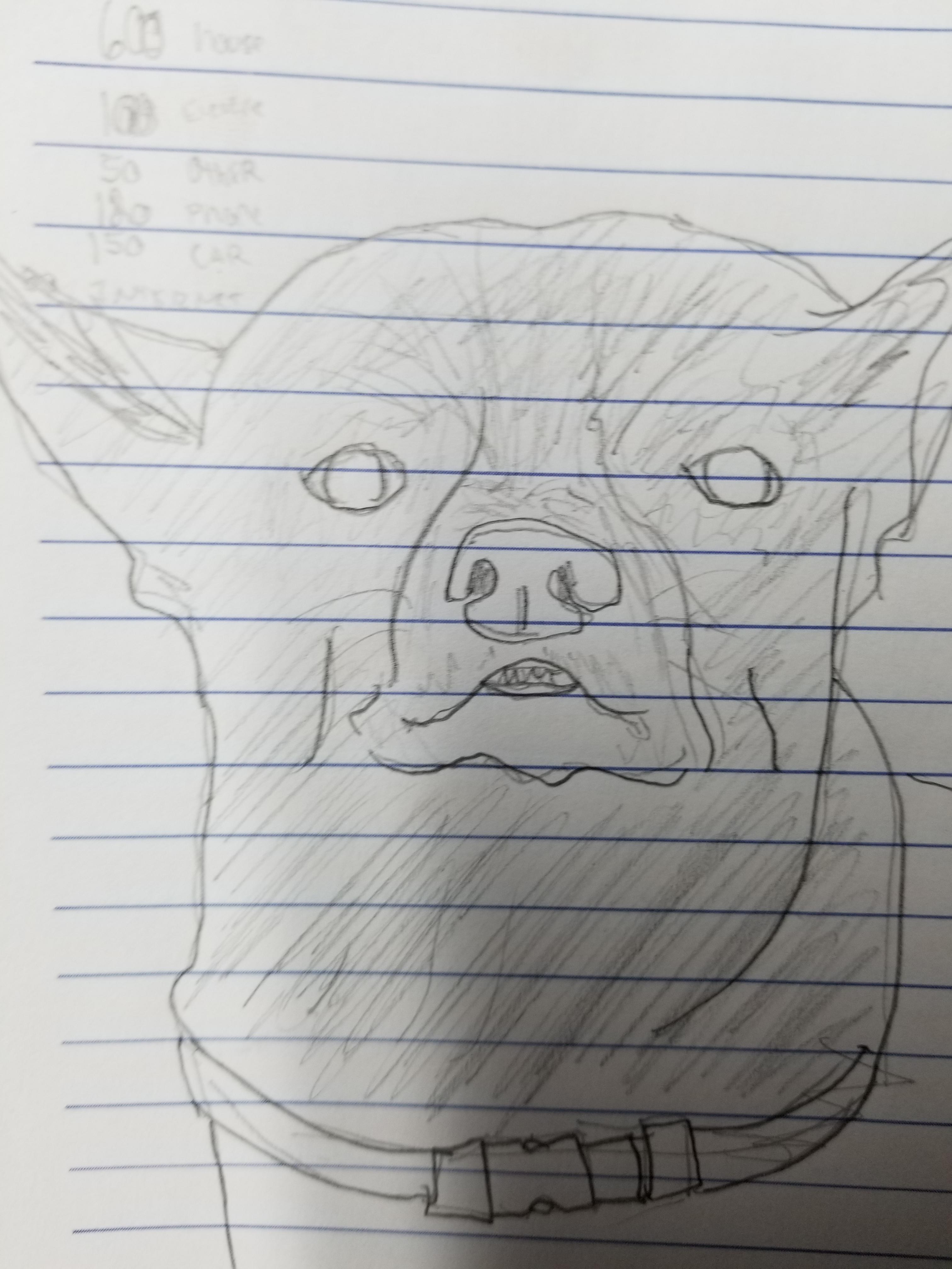 3024x4032 buddy, as a drawing - Buddy Drawing