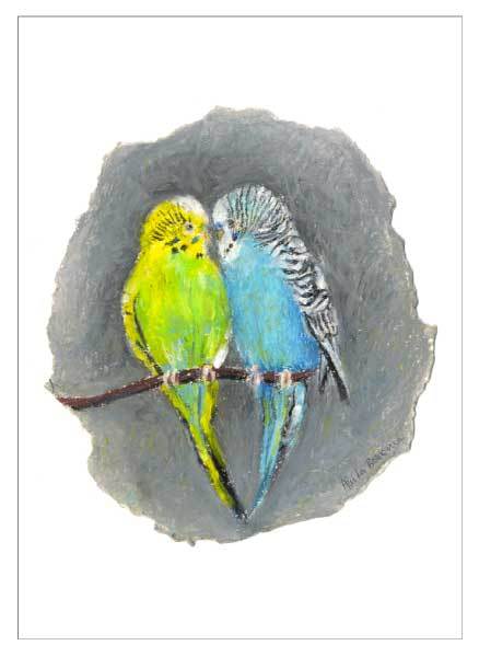 438x600 budgie love, unframed original drawing - Budgie Drawing