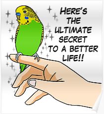 210x230 funny budgie drawing posters redbubble - Budgie Drawing