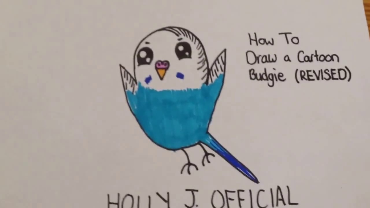 1280x720 how to draw a cartoon budgie - Budgie Drawing