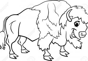 300x210 draw a cartoon buffalo - Buffalo Cartoon Drawing
