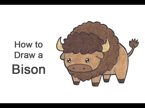 480x360 how to draw a bison buffalo - Buffalo Cartoon Drawing
