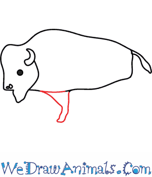 300x350 how to draw a buffalo - Buffalo Cartoon Drawing