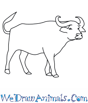 300x350 how to draw an african buffalo - Buffalo Cartoon Drawing