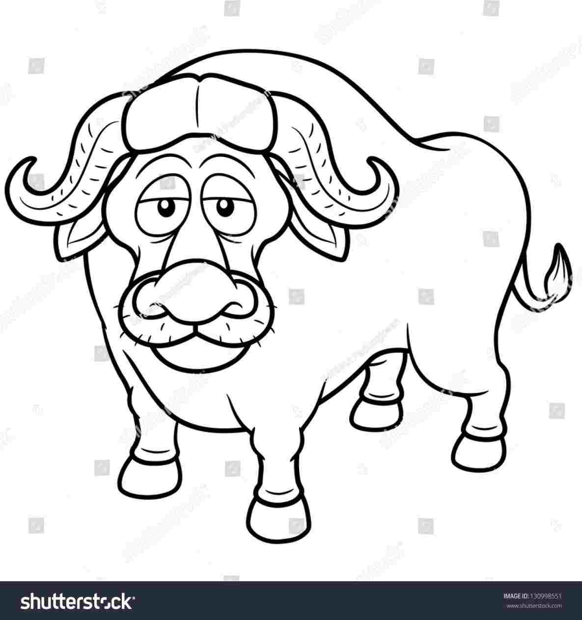 1185x1264 vector buffalo cartoon drawing illustration african coloring stock - Buffalo Cartoon Drawing