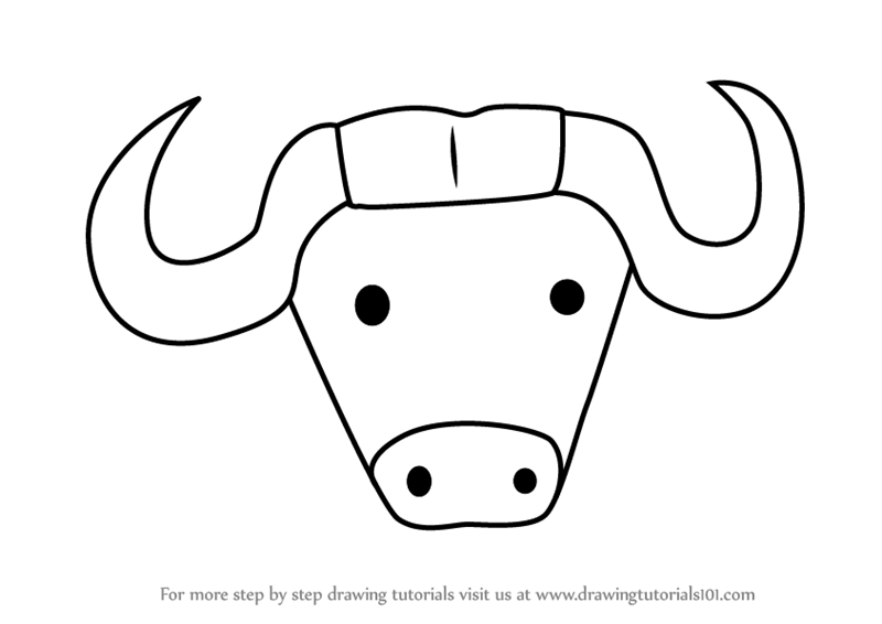 800x566 Learn How To Draw An African Buffalo Face For Kids - Buffalo Drawing