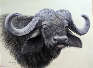 300x220 Original Pastel Drawing African Cape Buffalo Sally Porter Wildlife - Buffalo Drawing