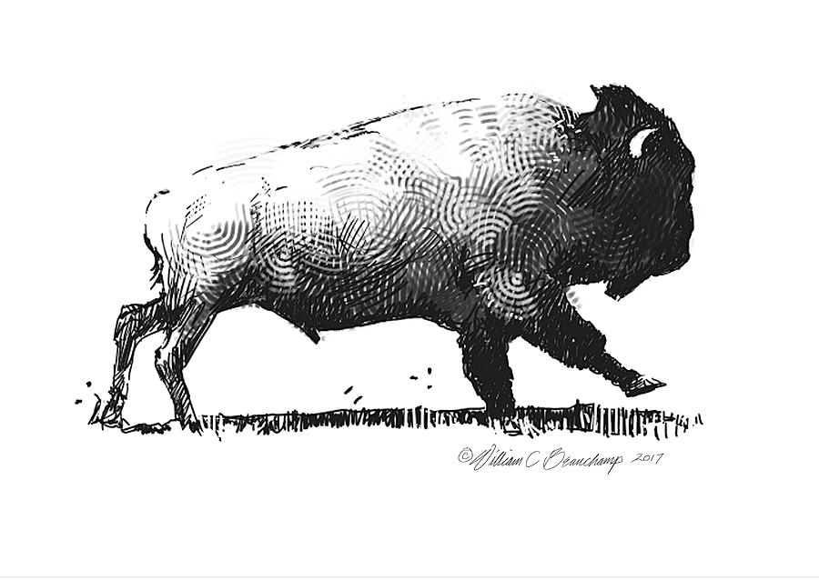 900x638 Running Buffalo Drawing - Buffalo Drawing
