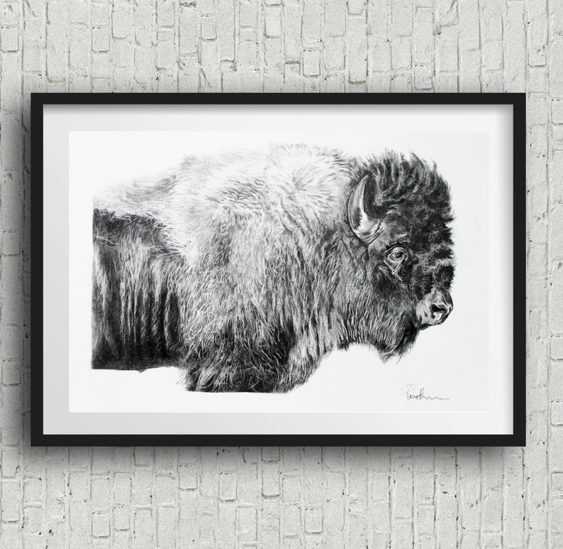 794x773 buffalo art print bison art print bampw buffalo drawing etsy - Buffalo Drawing