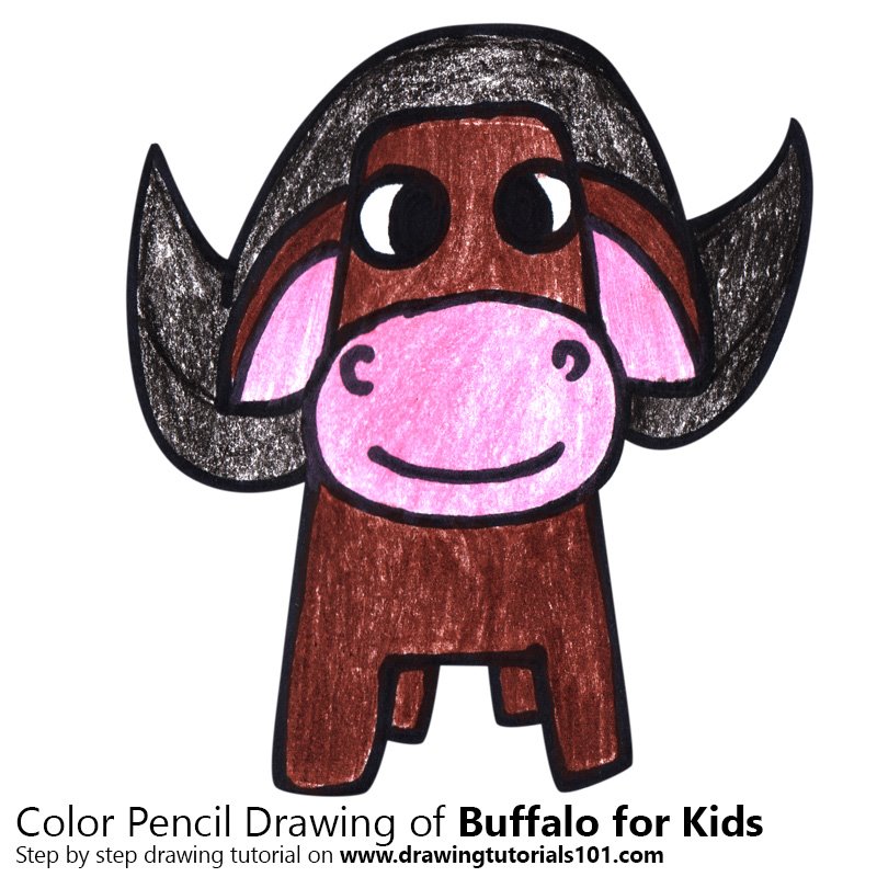 800x800 Buffalo For Kids Colored Pencils - Buffalo Drawing For Kids