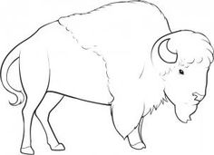 236x171 How To Draw A Buffalo Step - Buffalo Drawing For Kids