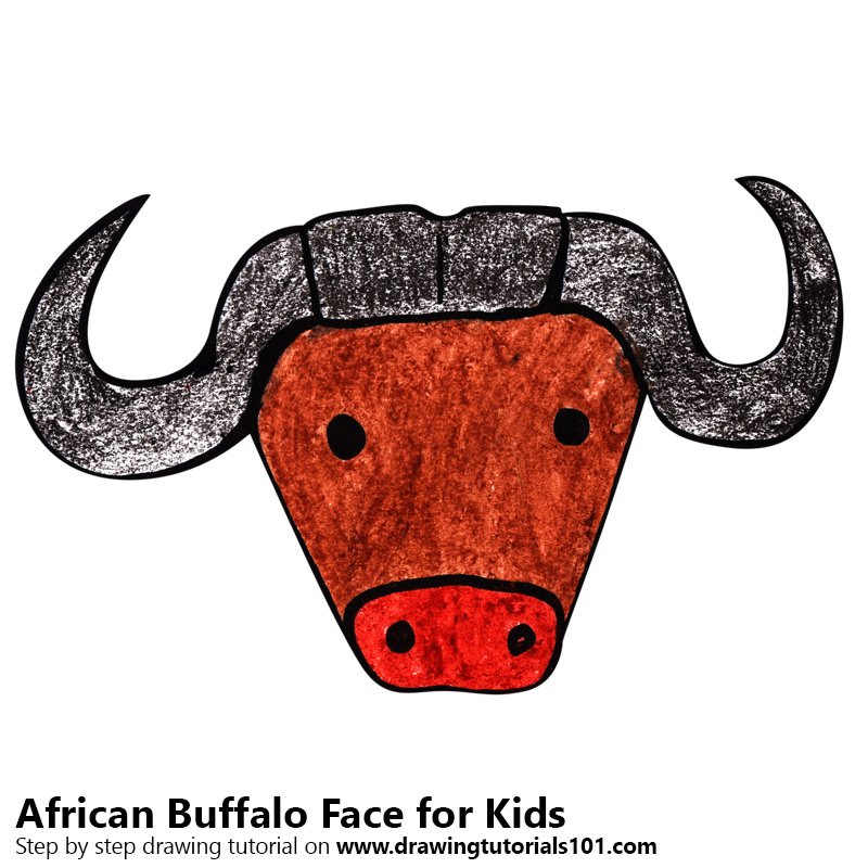 800x800 Learn How To Draw An African Buffalo Face For Kids - Buffalo Drawing For Kids