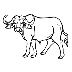 230x230 Top Free Printable Buffalo Coloring Pages Online - Buffalo Drawing For Kids
