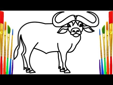 480x360 How To Easy Drawing A Buffalo For Kids - Buffalo Drawing For Kids