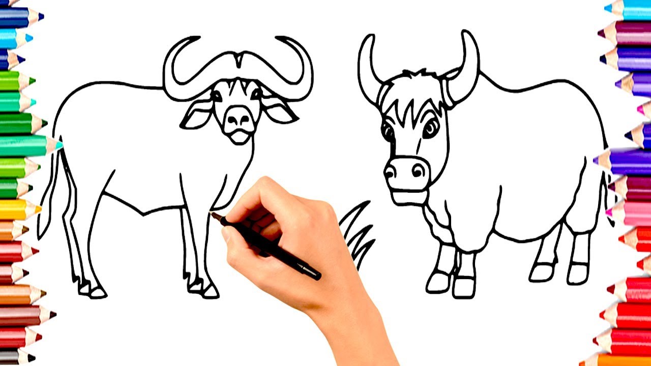1280x720 Children Draw Animals Cow Buffalo Coloring Book Pages - Buffalo Drawing For Kids