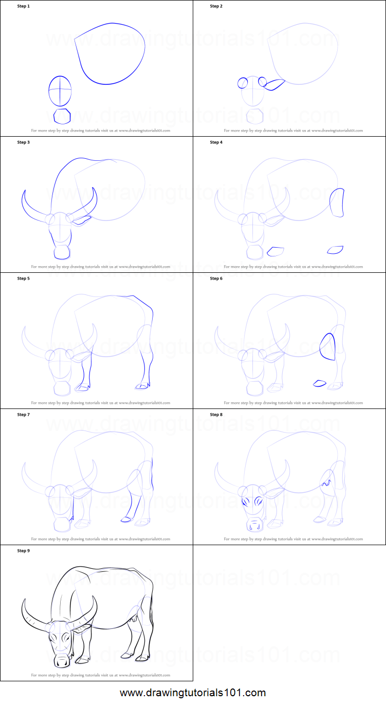 751x1376 How To Draw A Buffalo Printable Step - Buffalo Drawing Step By Step