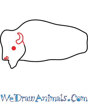 300x350 How To Draw A Buffalo - Buffalo Drawing Step By Step