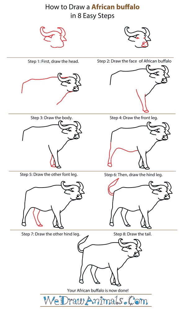 600x1000 How To Draw An African Buffalo - Buffalo Drawing Step By Step