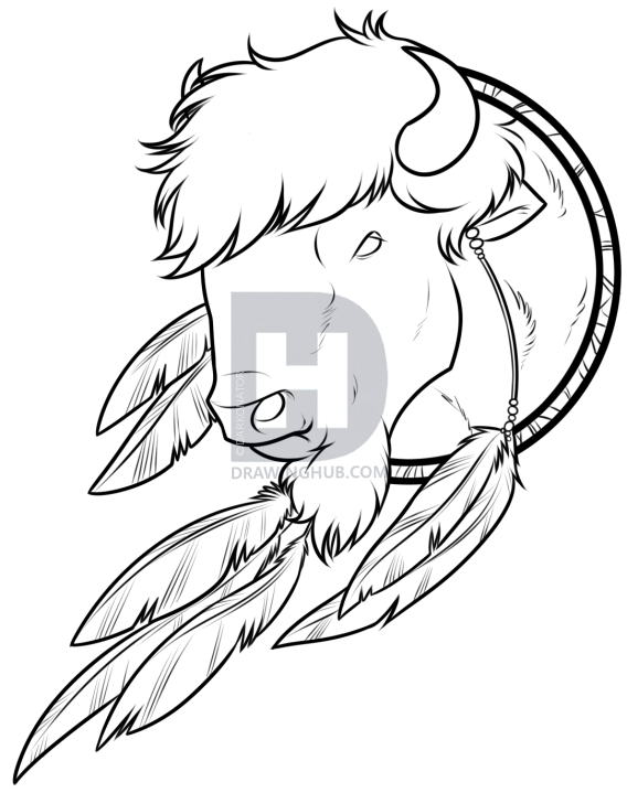 568x719 Buffalo Dream Catcher Drawing Lesson, Step - Buffalo Face Drawing