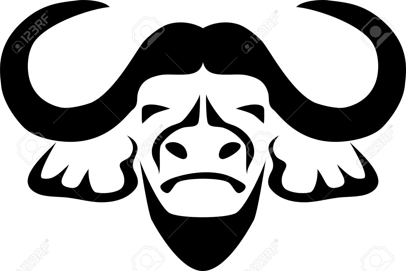 1300x868 buffalo face clipart great free clipart, silhouette, coloring - Buffalo Face Drawing