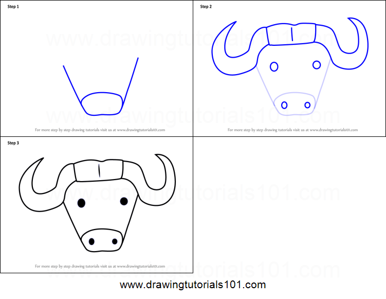 751x581 How To Draw An African Buffalo Face For Kids Printable Step - Buffalo Face Drawing