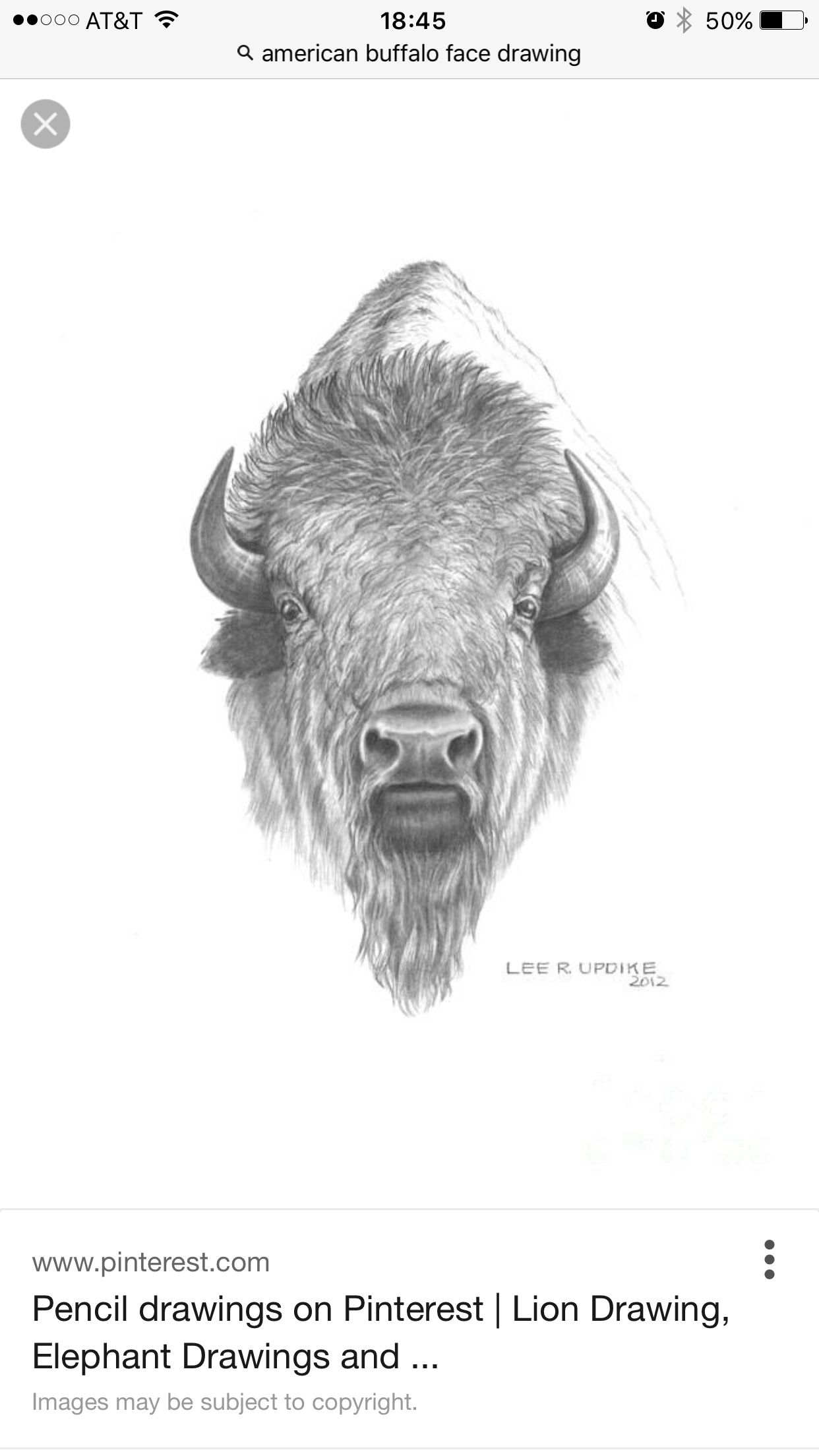 1242x2208 log cabin classroom buffalo painting, buffalo - Buffalo Face Drawing