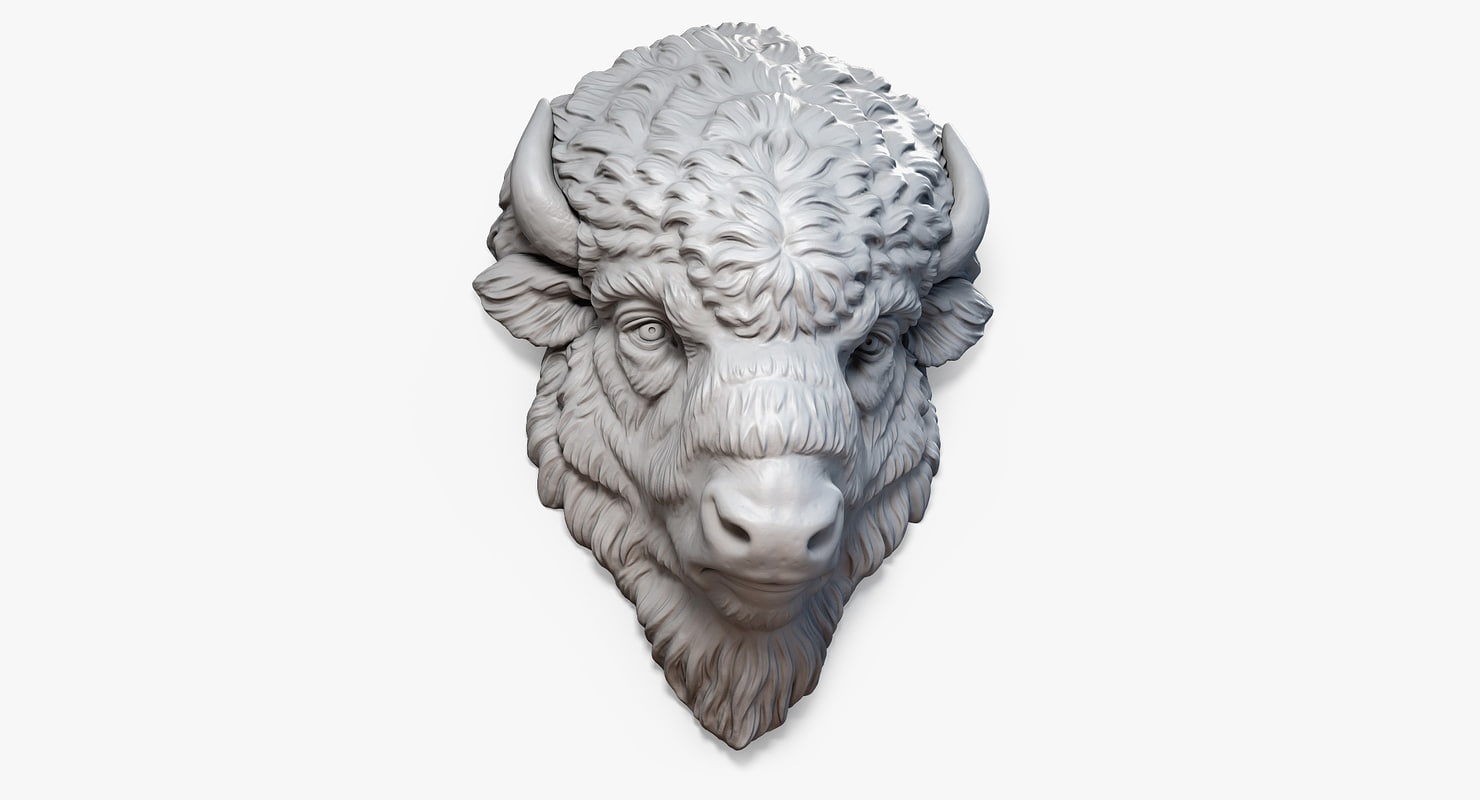 Model American Bison Buffalo Head - Buffalo Head Drawing. 