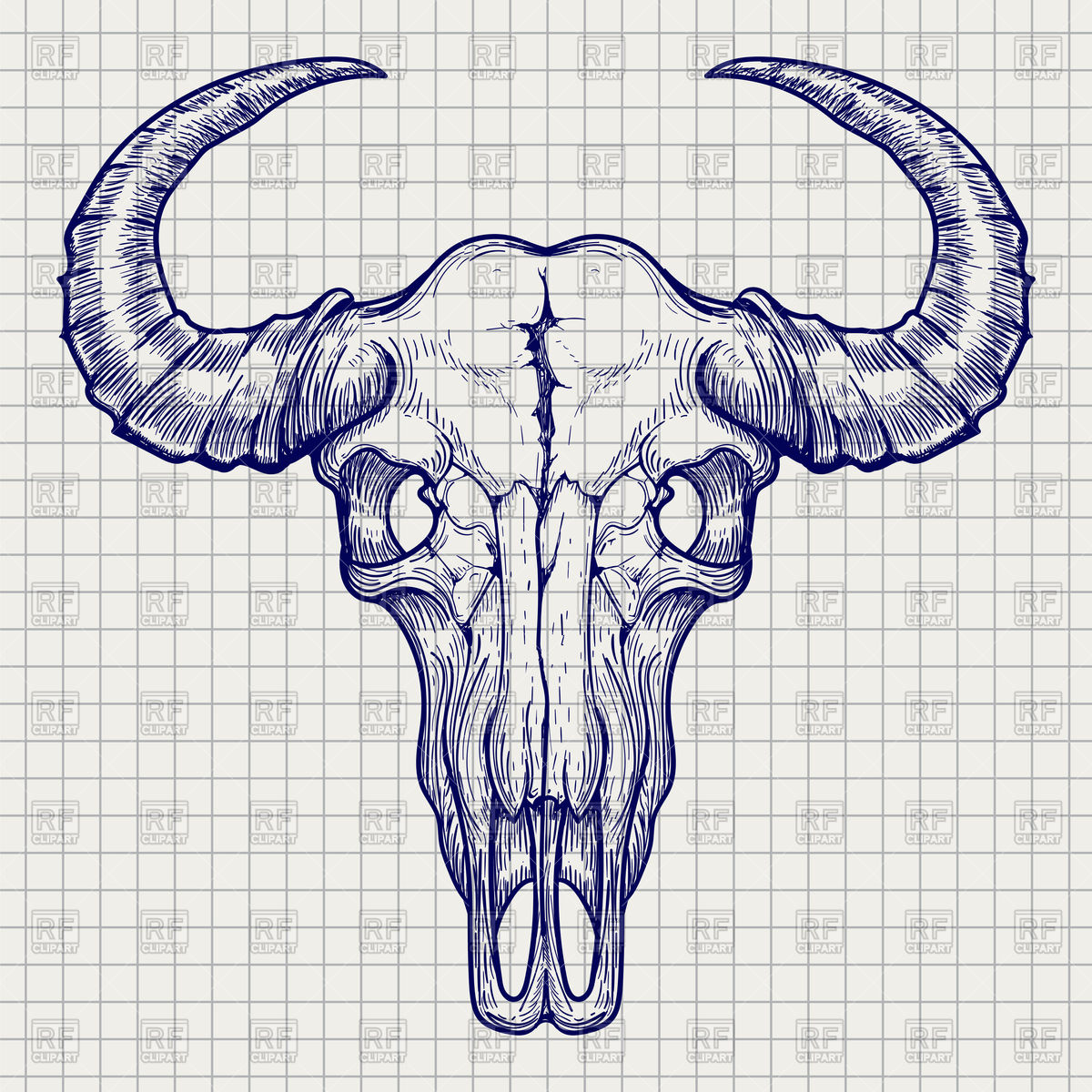 1200x1200 Ball Pen Buffalo Skull Sketch Vector Image Of Silhouettes - Buffalo Head Drawing
