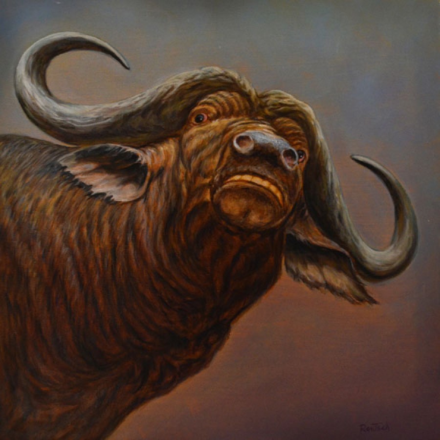 Buffalo Head Drawing at PaintingValley.com | Explore collection of ...