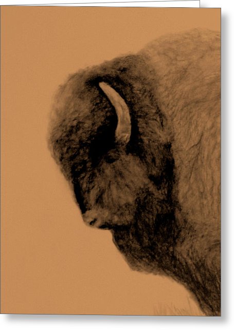 455x646 Buffalo Head Drawing - Buffalo Head Drawing