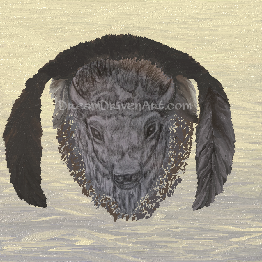 900x900 Buffalo Head Drawings Part - Buffalo Head Drawing