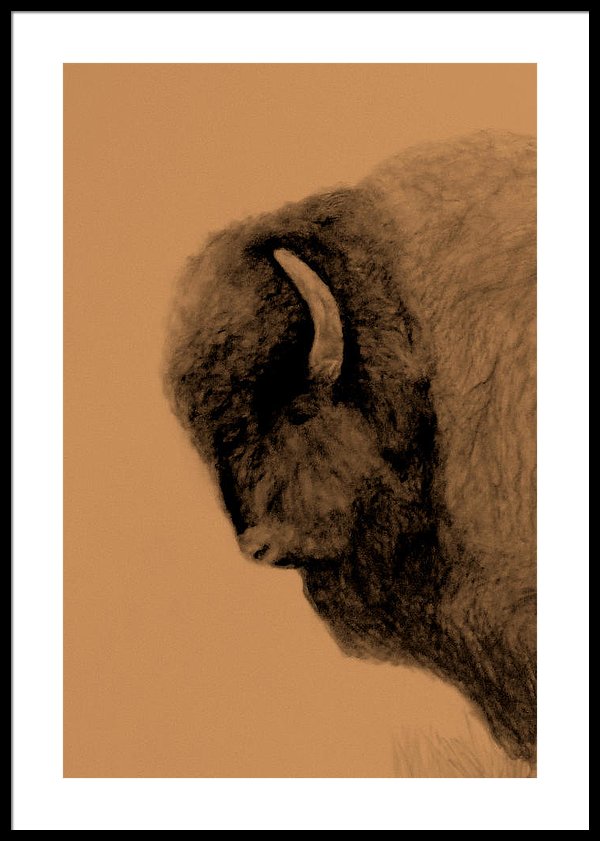 600x841 Buffalo Head Framed Print - Buffalo Head Drawing