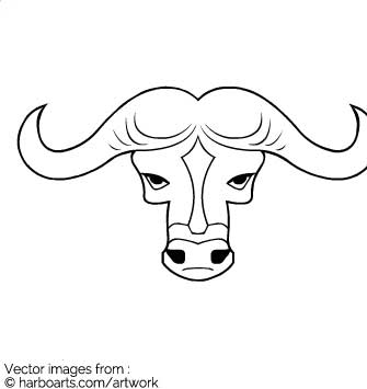 335x355 Download Buffalo Head - Buffalo Head Drawing