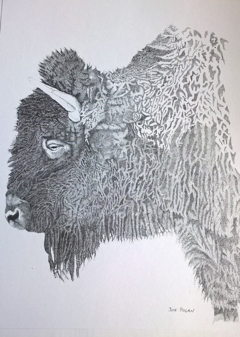 794x1112 Pen Ink Drawing Print Of A Buffalo Head Illustration Etsy - Buffalo Head Drawing