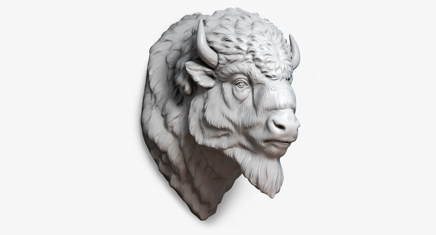 1480x800 Max American Bison Buffalo Head - Buffalo Head Drawing. 