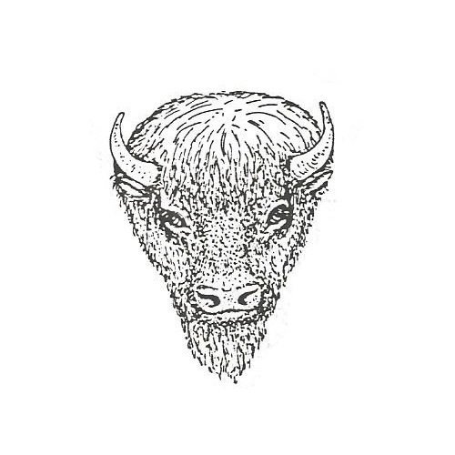 500x500 Buffalo Head Handmade - Buffalo Head Drawing