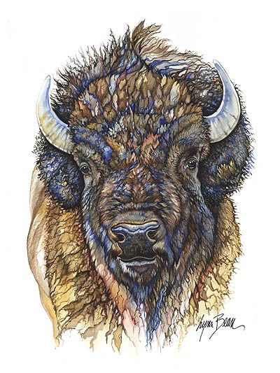 400x533 buffalo head buffalo art - Buffalo Head Drawing