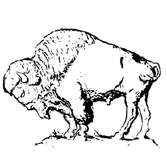 564x564 Buffalo Art - Buffalo Line Drawing