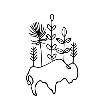 360x360 Buffalo Line Art T Shirt - Buffalo Line Drawing