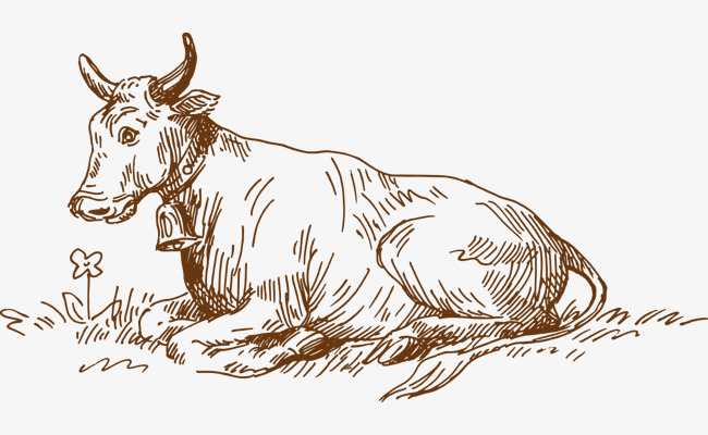 650x400 line drawing buffalo, line vector, line drawing, buffalo png - Buffalo Line Drawing