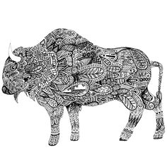 236x236 Best How To Draw Buffalo's And Bison Images How To Draw, Art - Buffalo Line Drawing