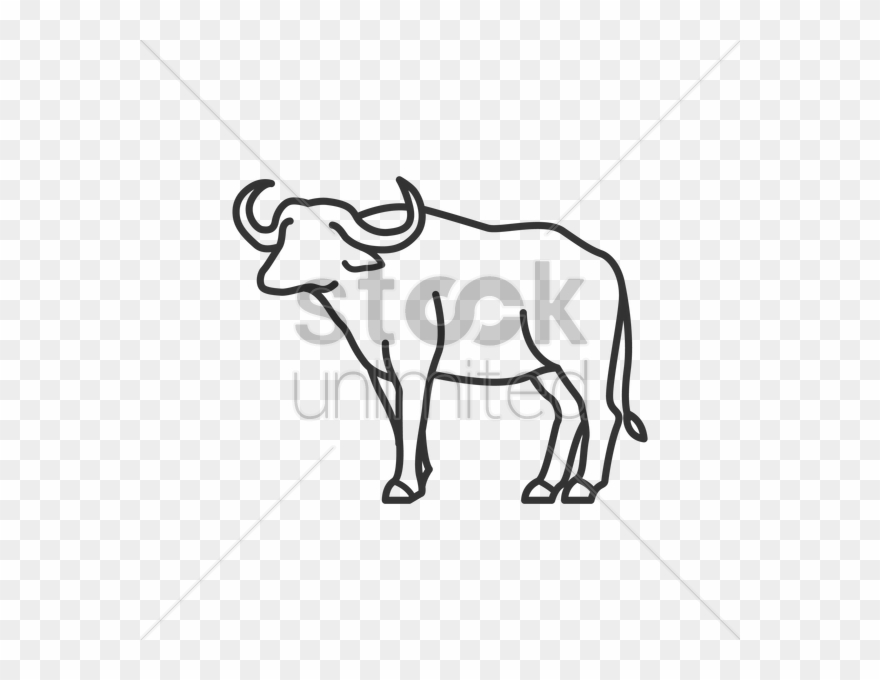 880x680 Vector Transparent Library Buffalo At Getdrawings Com - Buffalo Line Drawing