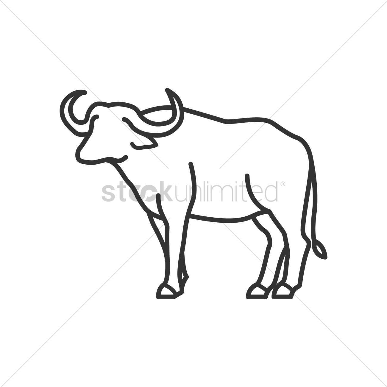 1300x1300 Water Buffalo Drawing - Buffalo Line Drawing