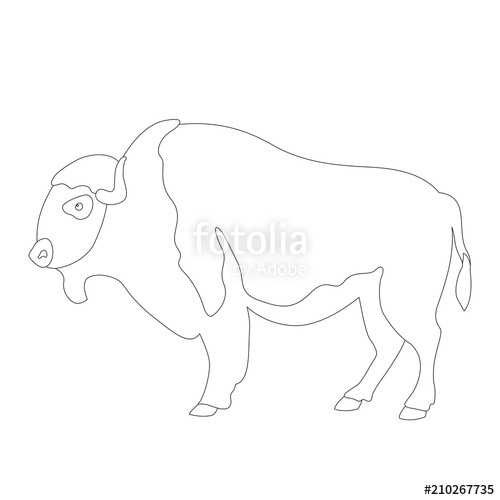 500x500 Buffalo Vector Illustration Coloring Line Drawing Profile Side - Buffalo Line Drawing