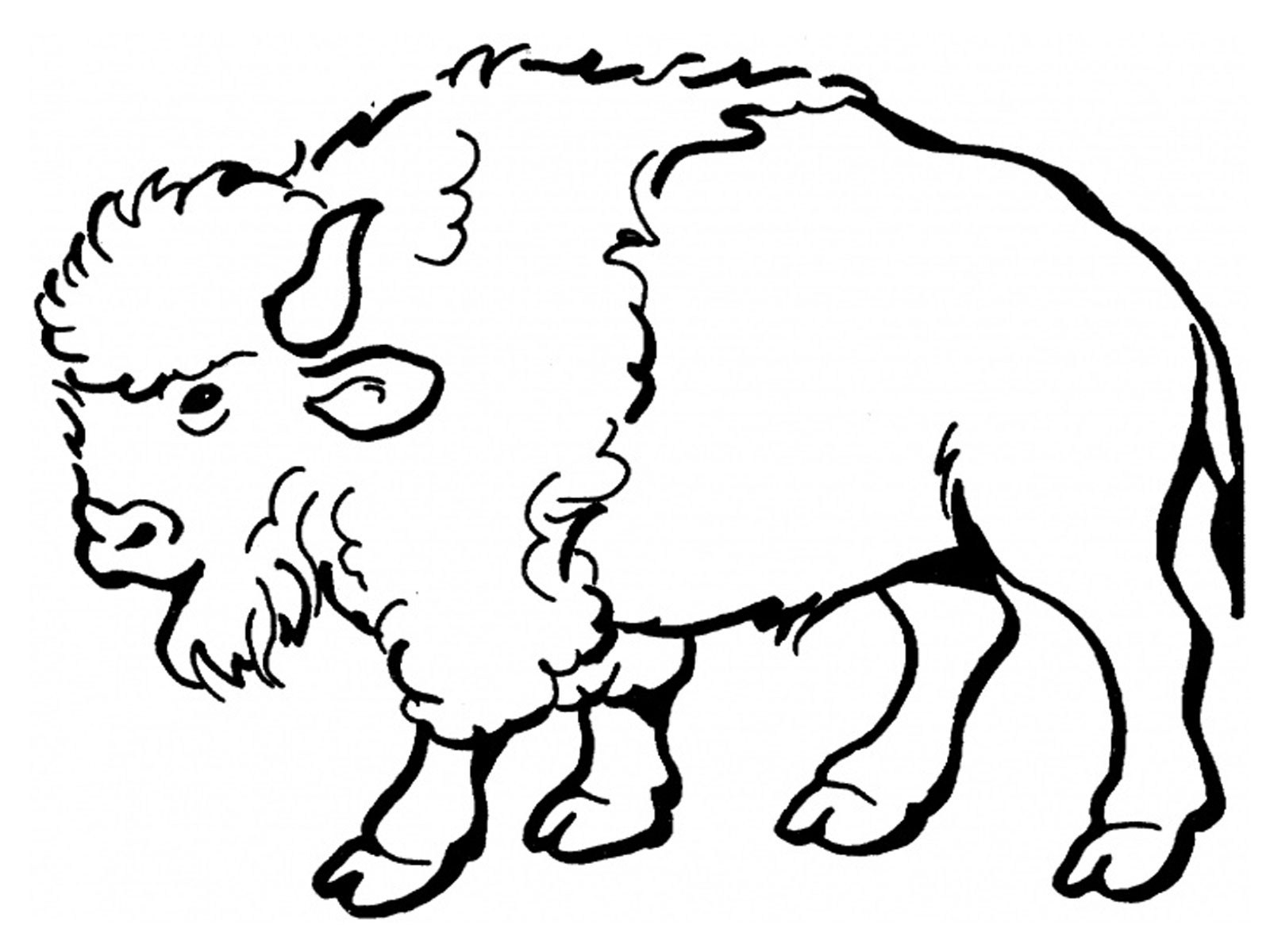1600x1200 buffalo outline clipart clipart portal - Buffalo Outline Drawing