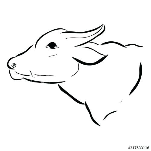 500x500 water buffalo outline images top images for water buffalo outline - Buffalo Outline Drawing