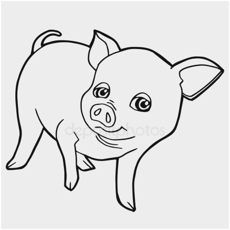 450x450 Buffalo Coloring - Buffalo Outline Drawing