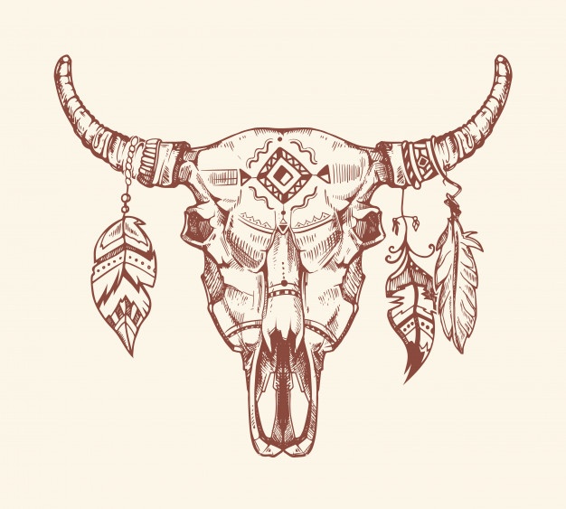 626x563 Bull Skull Vectors, Photos And Free Download - Buffalo Skull Drawing