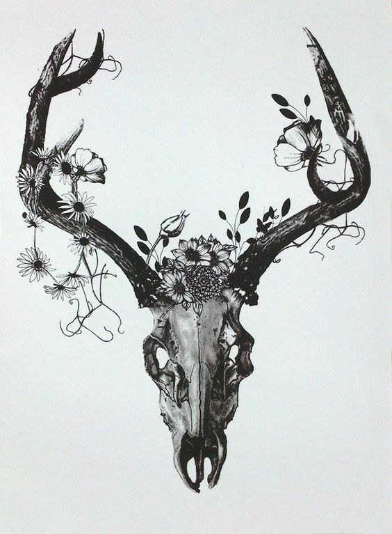 564x767 Collection Of Deer Skull On Incredible Cow Skull Tattoos Buffalo - Buffalo Skull Drawing