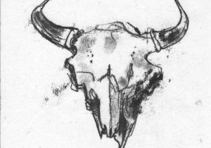 300x210 Skull Drawing Black Paper How To Draw A Cow Skull For Georgia O - Buffalo Skull Drawing